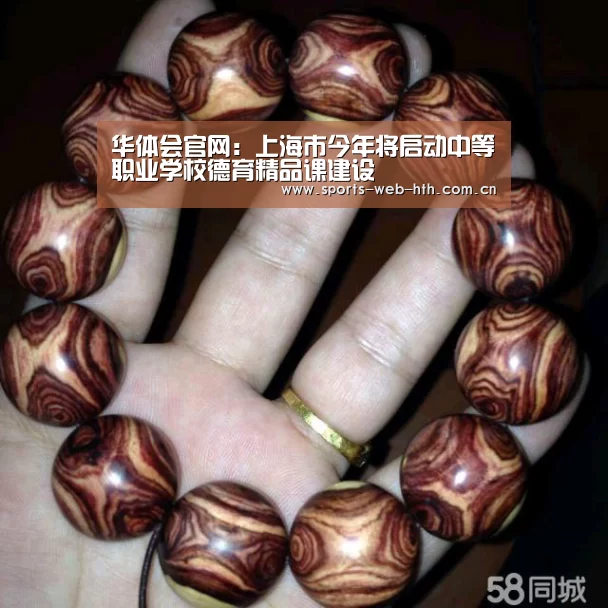 华体会官网:上海市今年将启动中等职业学校德育精品课建设(图2) 华体会官网