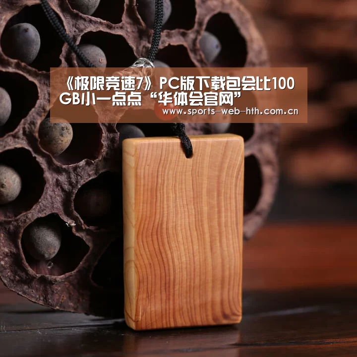 《极限竞速7》PC版下载包会比100GB小一点点“华体会官网”(图1) 华体会官网