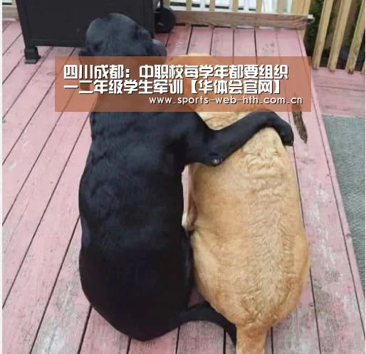 四川成都:中职校每学年都要组织一二年级学生军训【华体会官网】(图1) 体育赛事