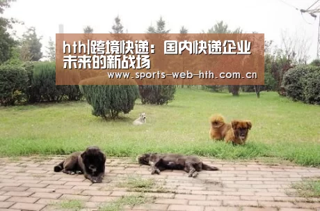 hth|跨境快递:国内快递企业未来的新战场(图1) 体育赛事