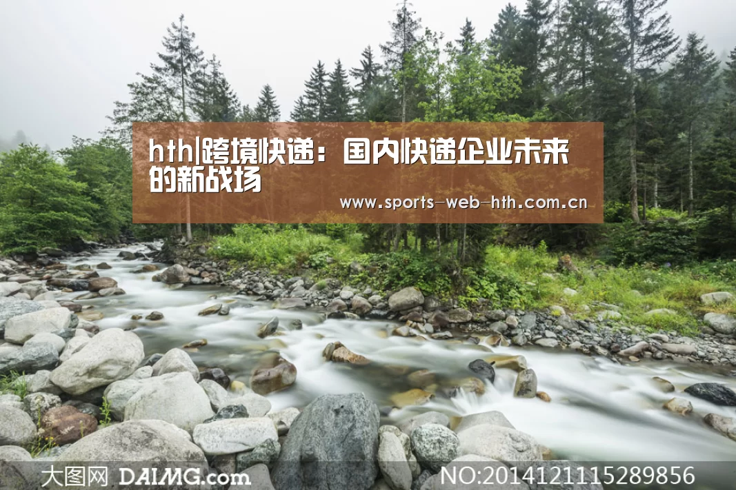 hth|跨境快递:国内快递企业未来的新战场(图3) hth平台